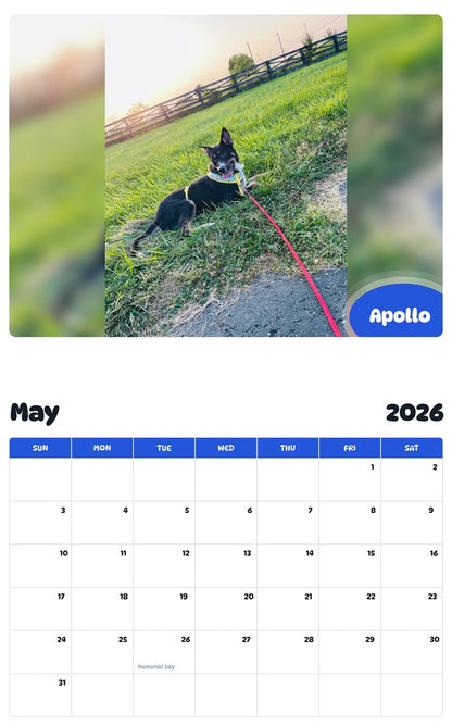 2026 - 2027 Apollo - Pawidols Pet Calendar