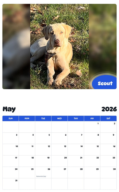 2026 - 2027 Scout - Pawidols Pet Calendar