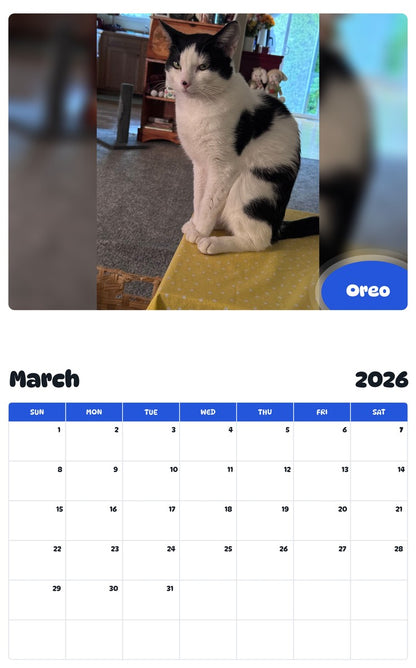 November 2025 - October 2026 Oreo - Pawidols Pet Calendar