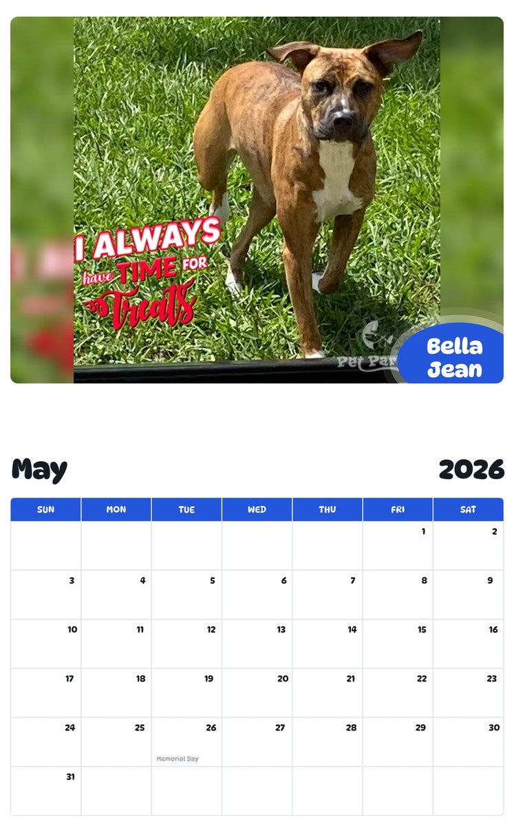 2026 - 2027 Bella Jean - Pawidols Pet Calendar