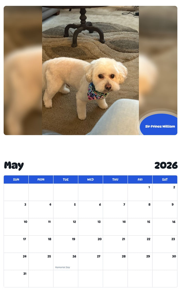 2026 - 2027 Sir Prince William - Pawidols Pet Calendar
