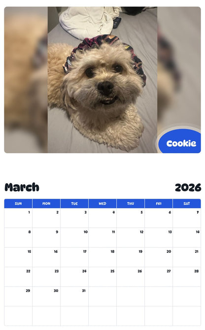 November 2025 - October 2026 Cookie - Pawidols Pet Calendar