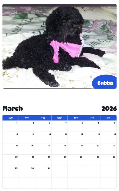 November 2025 - October 2026 Bubba - Pawidols Pet Calendar