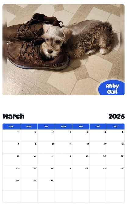 November 2025 - October 2026 Abby Gail - Pawidols Pet Calendar