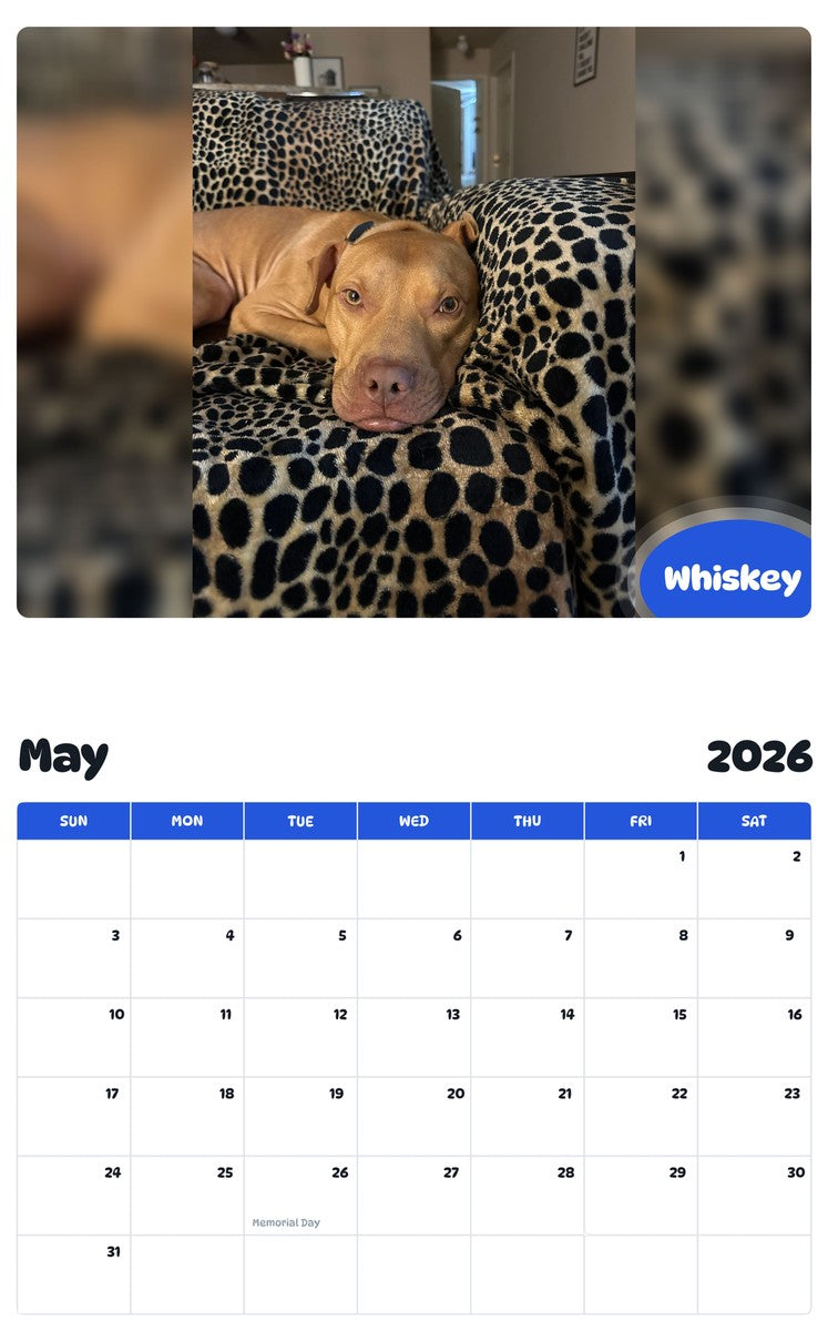 2026 - 2027 Whiskey - Pawidols Pet Calendar