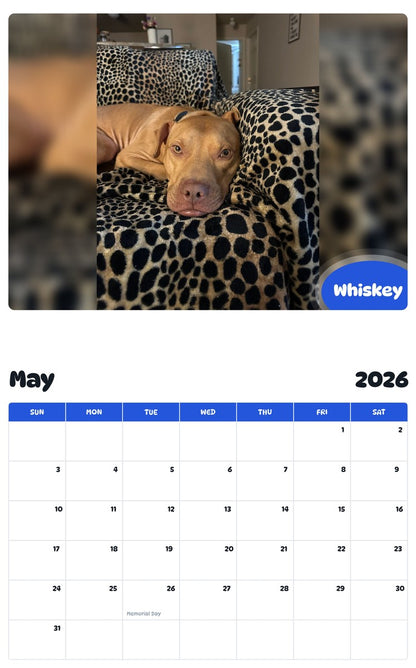 2026 - 2027 Whiskey - Pawidols Pet Calendar