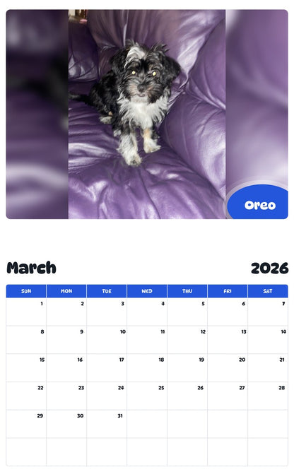 November 2025 - October 2026 Oreo - Pawidols Pet Calendar
