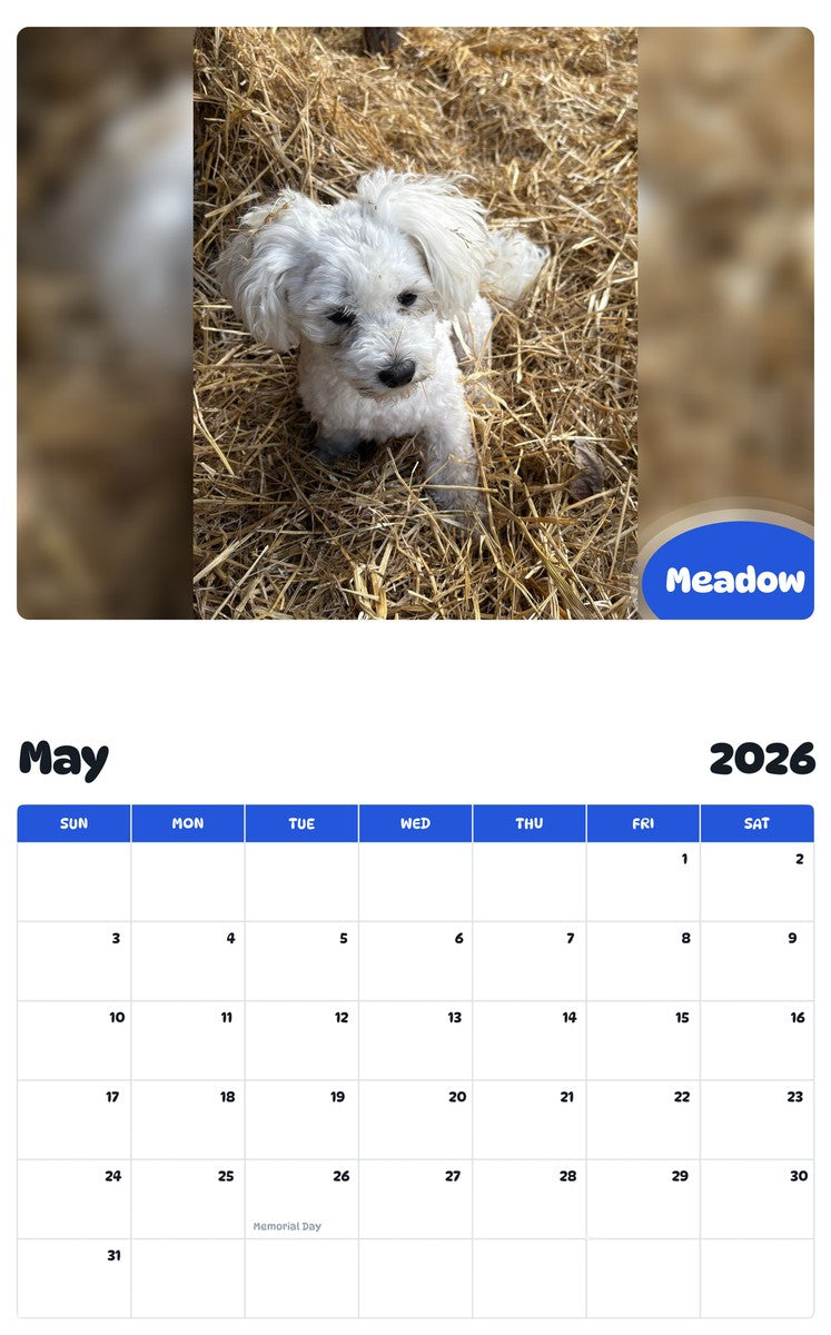 2026 - 2027 Meadow - Pawidols Pet Calendar