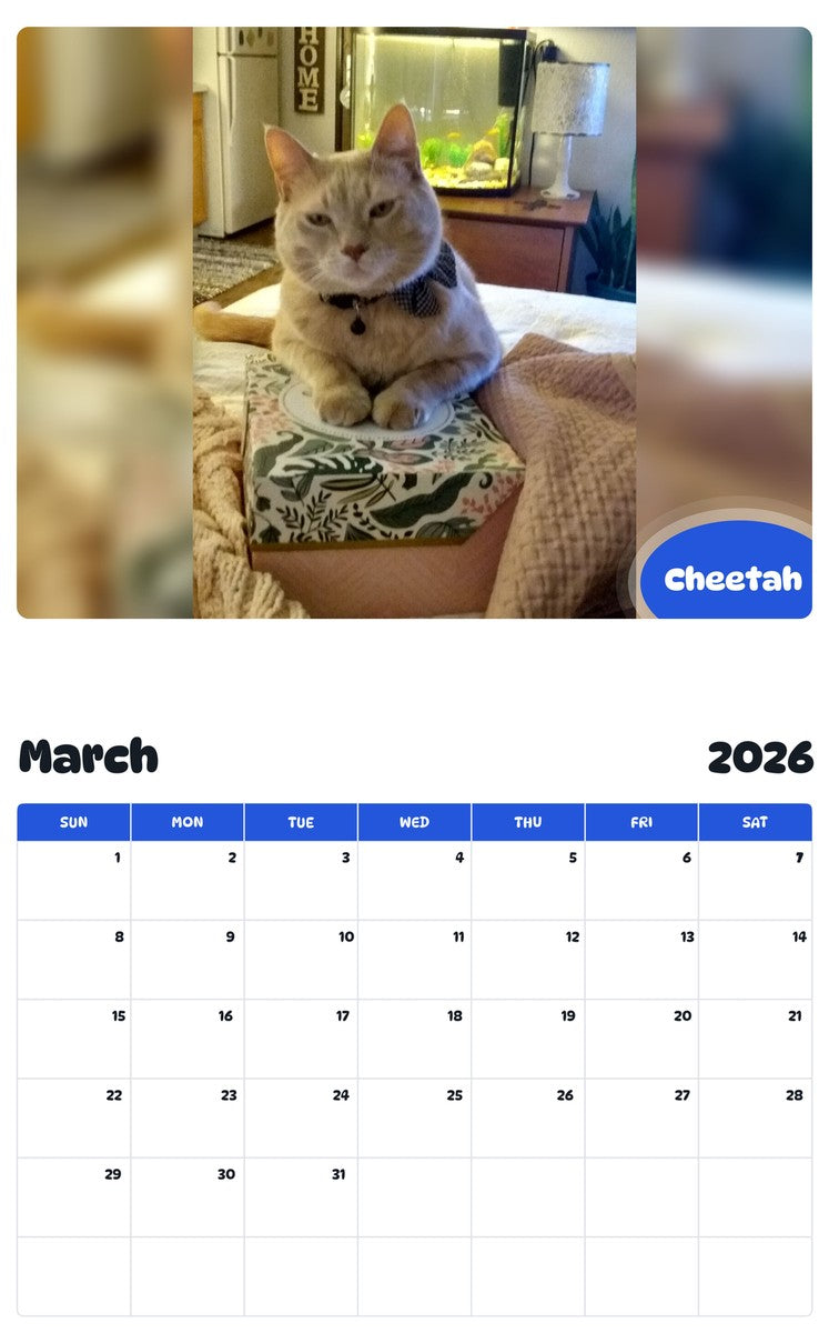 November 2025 - October 2026 Cheetah - Pawidols Pet Calendar
