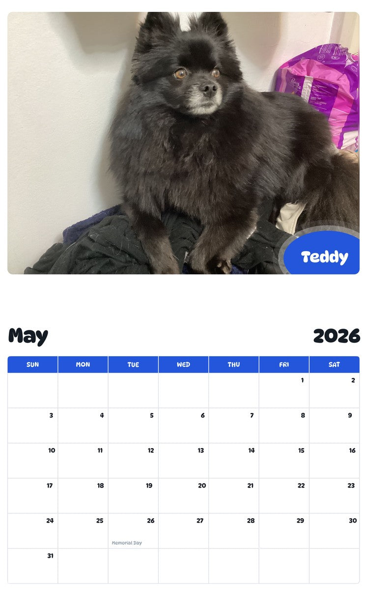 2026 - 2027 Teddy - Pawidols Pet Calendar