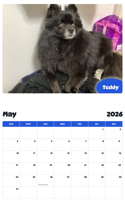 2026 - 2027 Teddy - Pawidols Pet Calendar