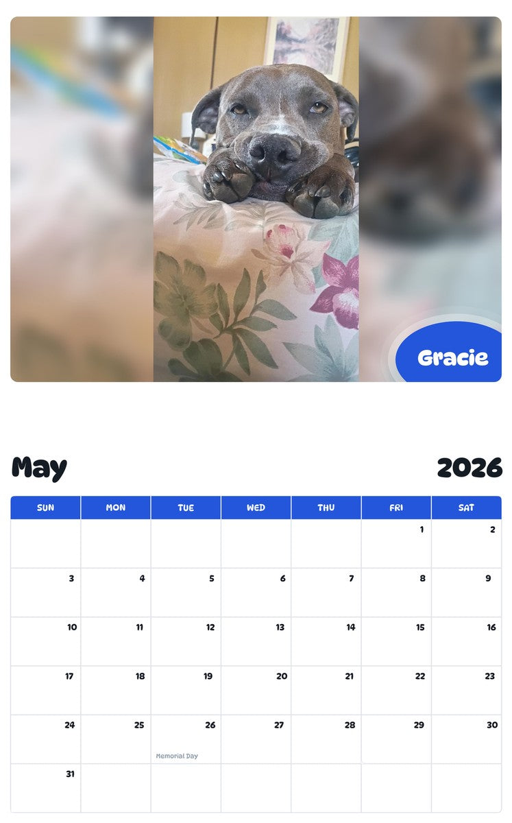 2026 - 2027 Gracie - Pawidols Pet Calendar
