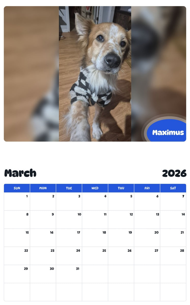 November 2025 - October 2026 Maximus - Pawidols Pet Calendar