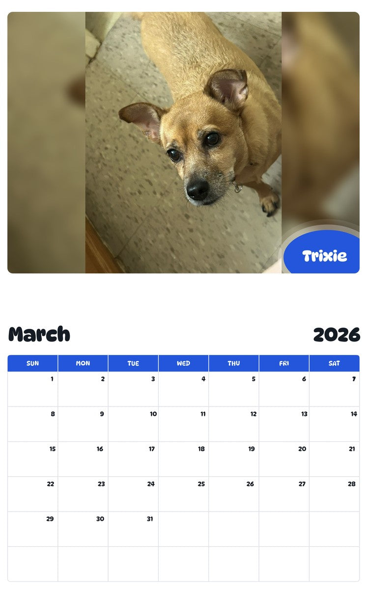 November 2025 - October 2026 Trixie - Pawidols Pet Calendar
