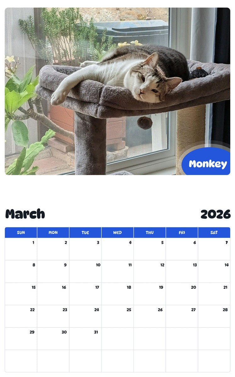 November 2025 - October 2026 Monkey - Pawidols Pet Calendar