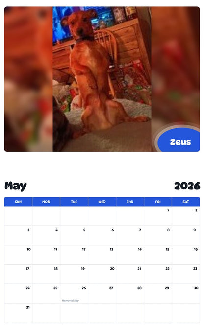 2026 - 2027 Zeus - Pawidols Pet Calendar