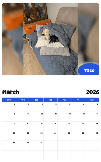November 2025 - October 2026 Taco - Pawidols Pet Calendar