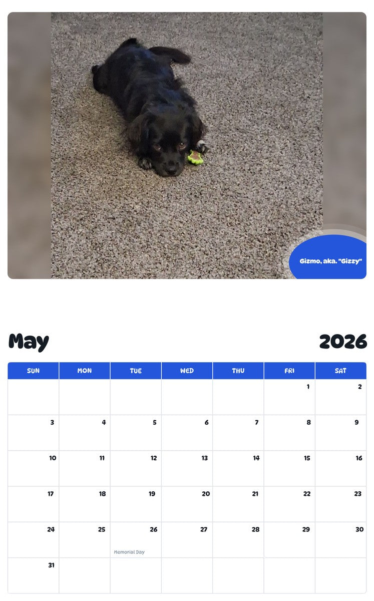 2026 - 2027 Gizmo, aka. "Gizzy" - Pawidols Pet Calendar