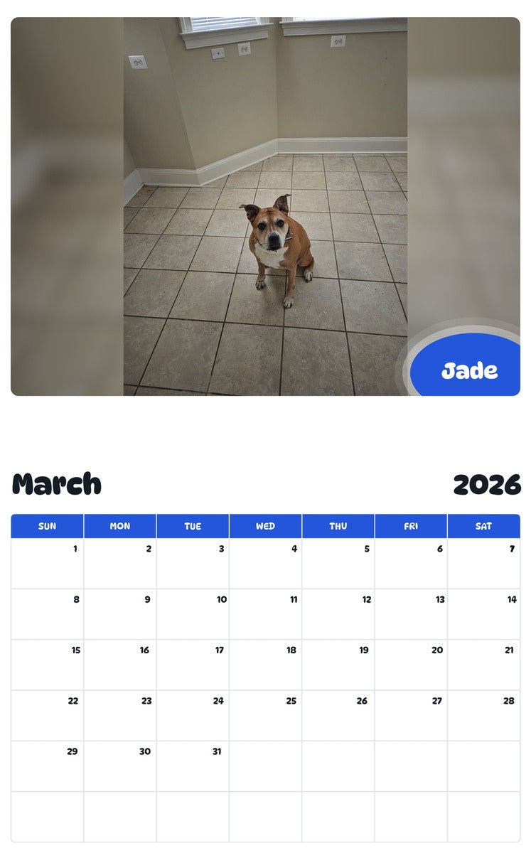 November 2025 - October 2026 Jade - Pawidols Pet Calendar