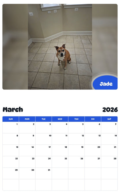 November 2025 - October 2026 Jade - Pawidols Pet Calendar