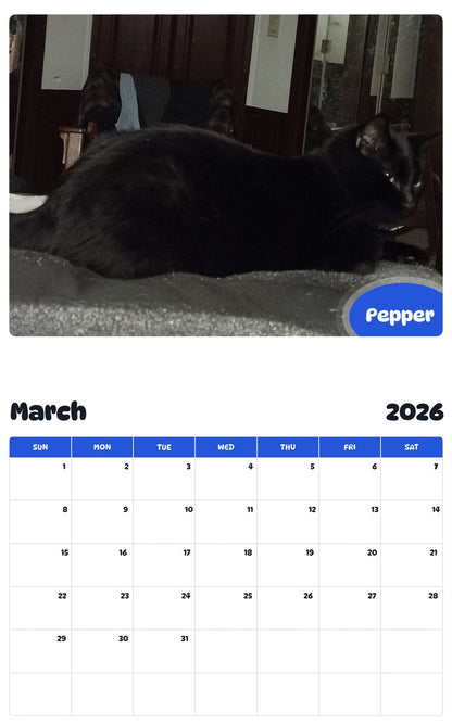 November 2025 - October 2026 Pepper - Pawidols Pet Calendar
