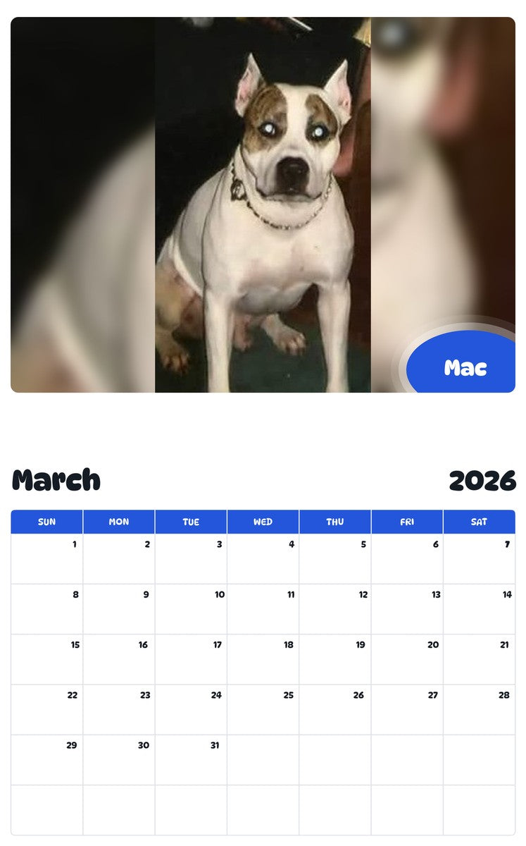 November 2025 - October 2026 Mac - Pawidols Pet Calendar