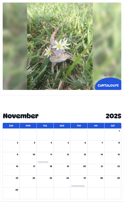 July 2025 - June 2026 Cantaloupe - Pawidols Pet Calendar