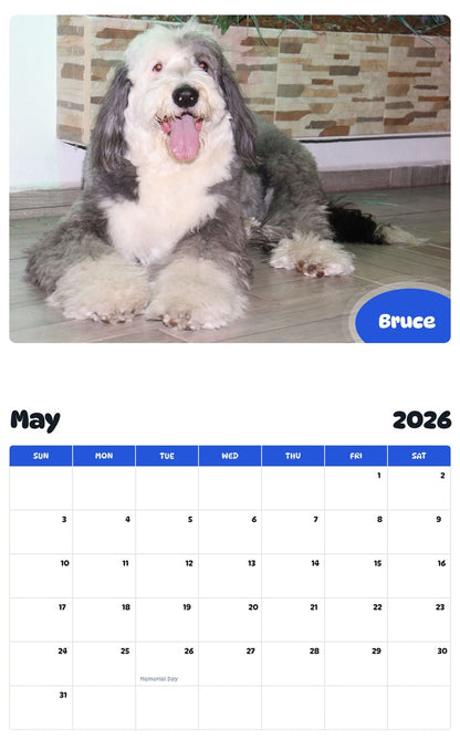 2026 - 2027 Bruce - Pawidols Pet Calendar