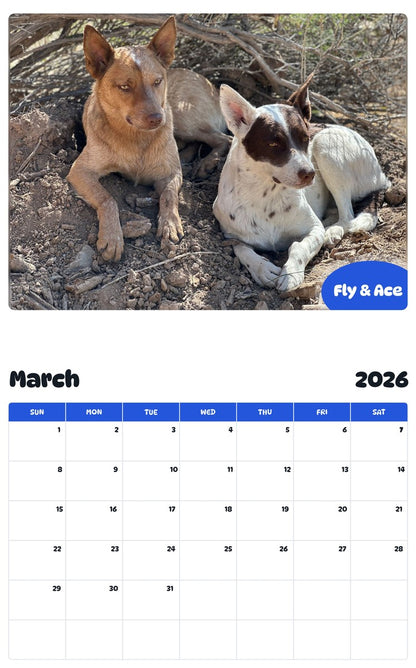 November 2025 - October 2026 Fly & Ace - Pawidols Pet Calendar