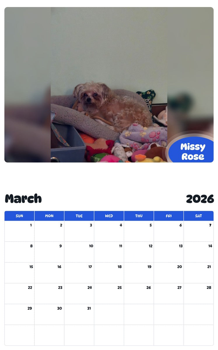 November 2025 - October 2026 Missy Rose - Pawidols Pet Calendar