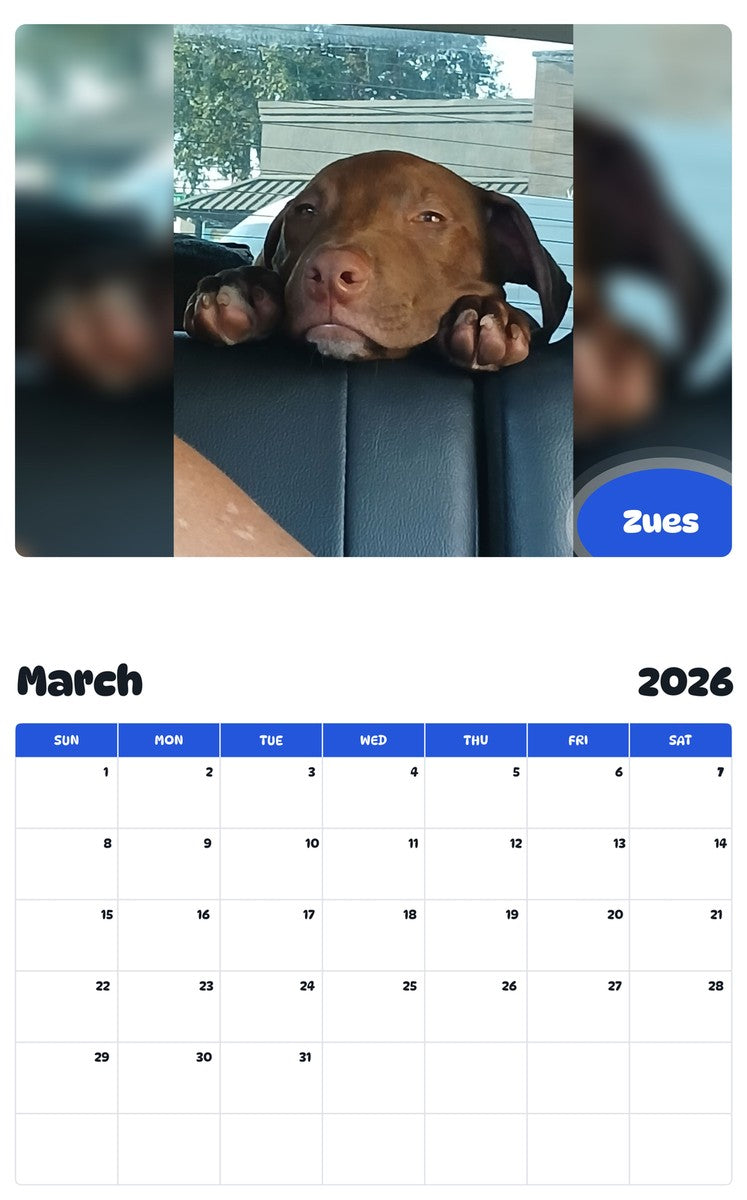 November 2025 - October 2026 Zues - Pawidols Pet Calendar