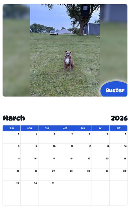 November 2025 - October 2026 Buster - Pawidols Pet Calendar