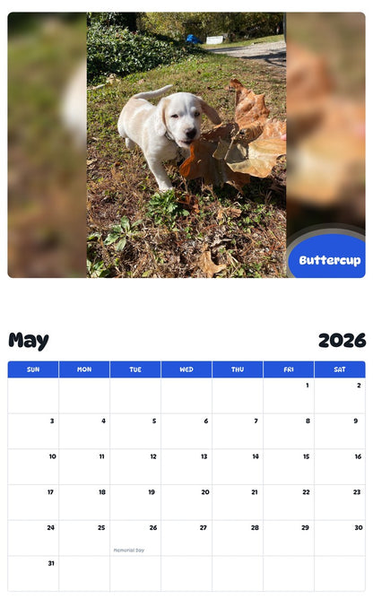 2026 - 2027 Buttercup - Pawidols Pet Calendar
