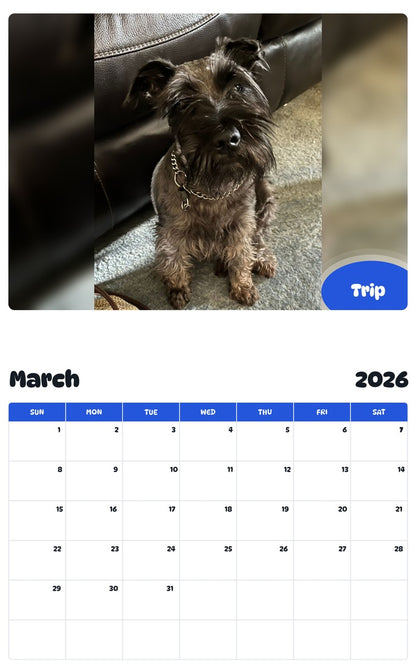 November 2025 - October 2026 Trip - Pawidols Pet Calendar