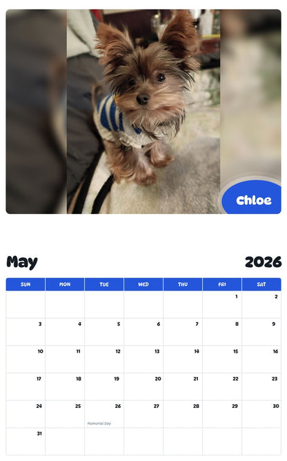 2026 - 2027 Chloe - Pawidols Pet Calendar