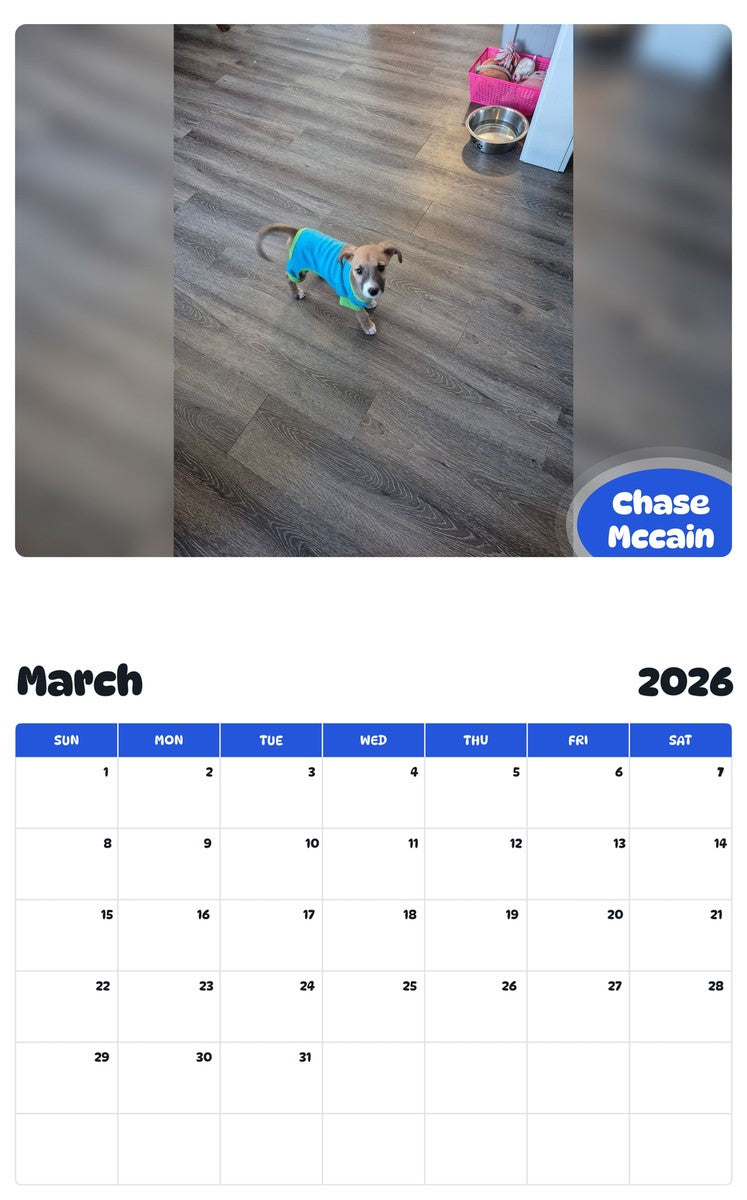 November 2025 - October 2026 Chase Mccain - Pawidols Pet Calendar
