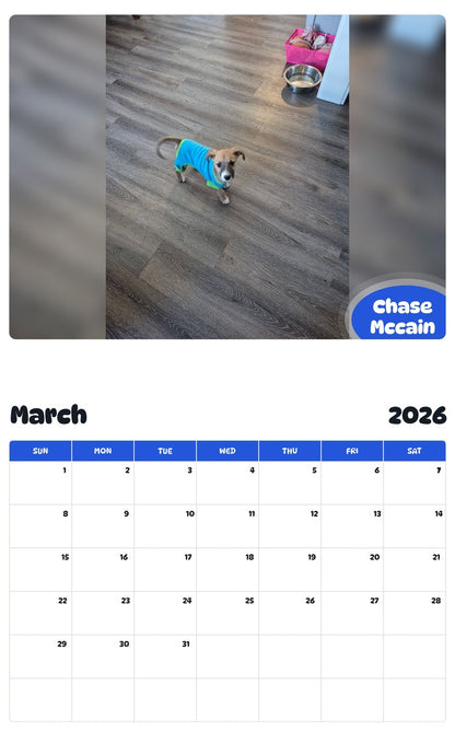 November 2025 - October 2026 Chase Mccain - Pawidols Pet Calendar