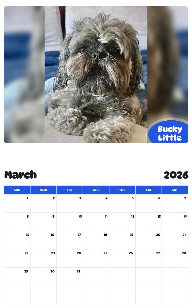 November 2025 - October 2026 Bucky Little - Pawidols Pet Calendar