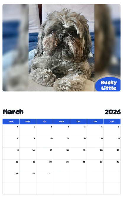 November 2025 - October 2026 Bucky Little - Pawidols Pet Calendar