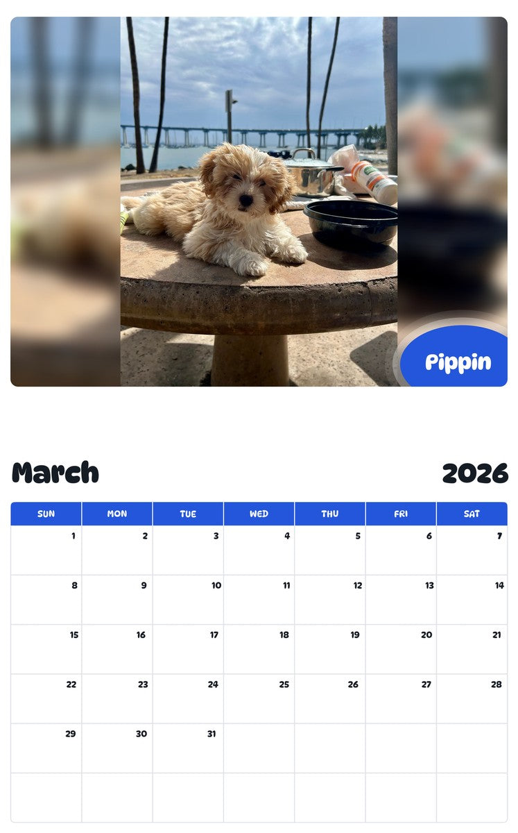 November 2025 - October 2026 Pippin - Pawidols Pet Calendar