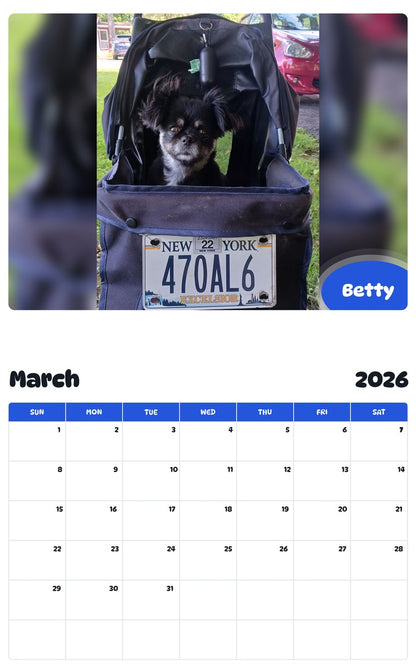 November 2025 - October 2026 Betty - Pawidols Pet Calendar