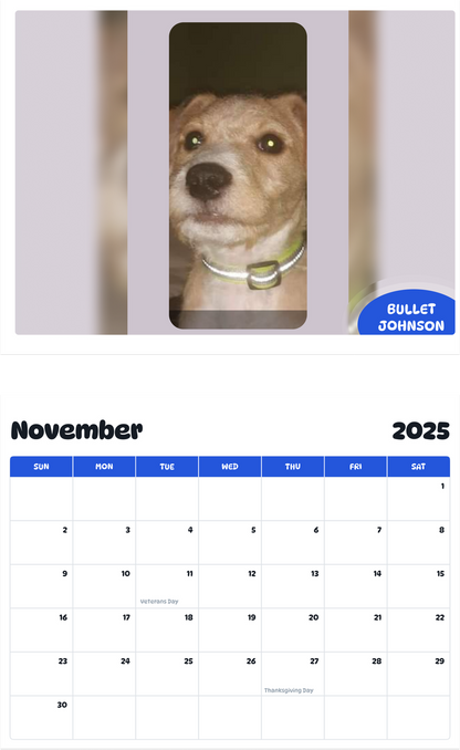 July 2025 - June 2026 Bullet Johnson - Pawidols Pet Calendar