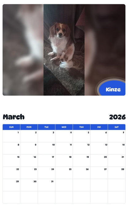 November 2025 - October 2026 Kinze - Pawidols Pet Calendar