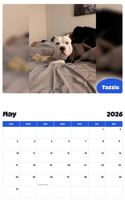 2026 - 2027 Tazzie - Pawidols Pet Calendar