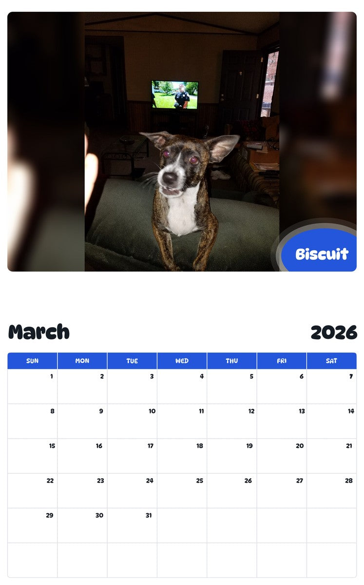 November 2025 - October 2026 Biscuit - Pawidols Pet Calendar