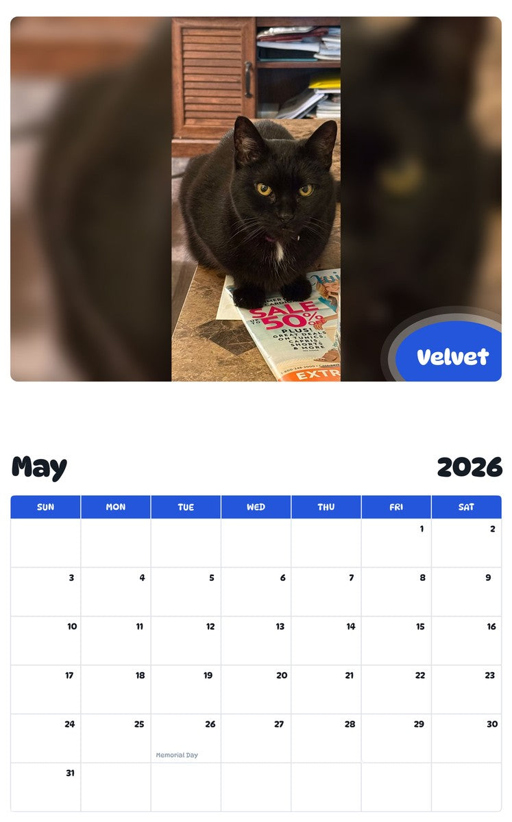 2026 - 2027 Velvet - Pawidols Pet Calendar