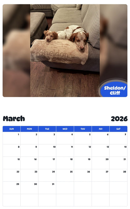 November 2025 - October 2026 Sheldon/ Cliff - Pawidols Pet Calendar