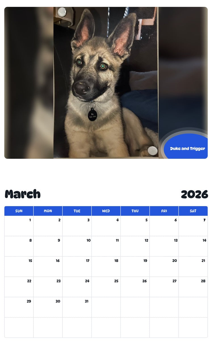 November 2025 - October 2026 Duke and Trigger - Pawidols Pet Calendar