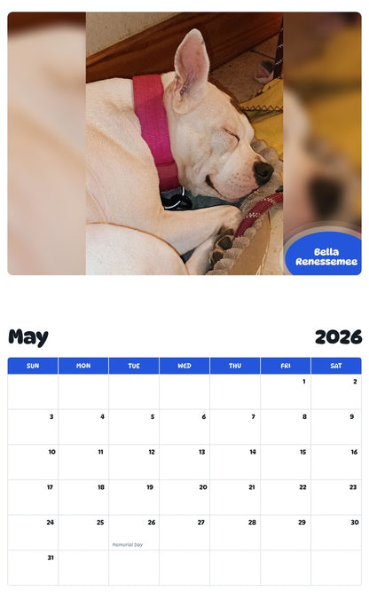 2026 - 2027 Bella Renessemee - Pawidols Pet Calendar