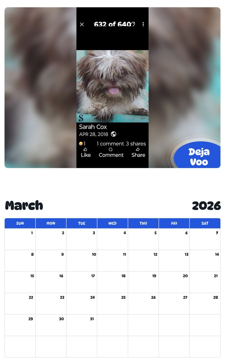 November 2025 - October 2026 Deja Voo - Pawidols Pet Calendar